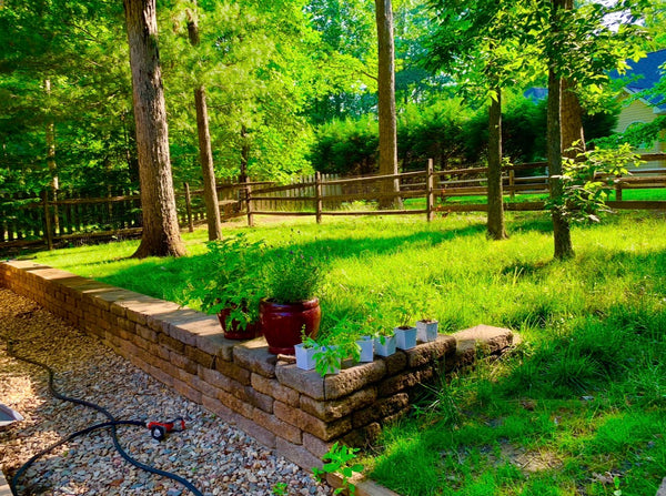 Lawn Transformation — Lake Monticello